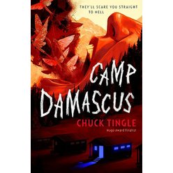 Tábor Damašek